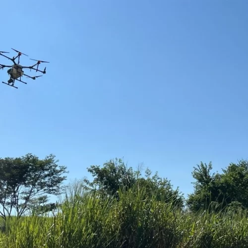 Evento da Apta Regional reunirá especialistas para discutir inovação na restauração ecológica no Noroeste Paulista