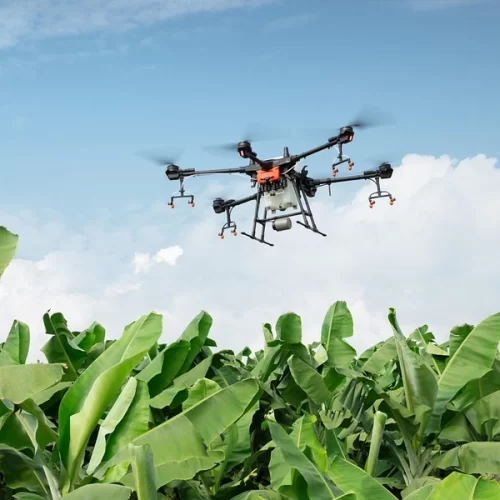 ARTIGO – A importância da regulamentação dos drones agrícolas no México