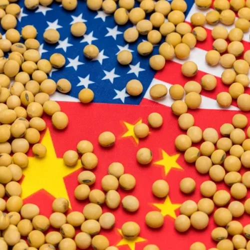 Líderes do agronegócio elogiam novo acordo EUA-China sobre soja como “passo significativo à frente”