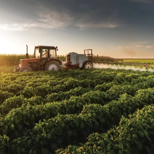 Edição de julho do Radar Macroeconômico: Foco no Agronegócio