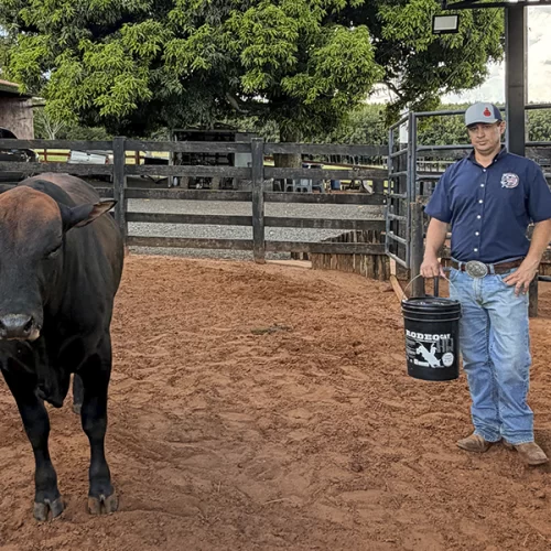 Genética, nutrição e manejo: uma conversa no campo sobre touros de rodeio