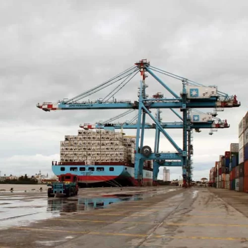 Brasil celebra 50 anos do primeiro embarque de carne de frango