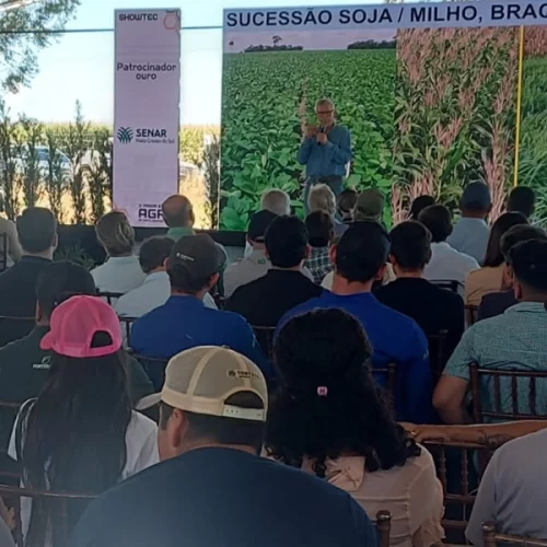 Embrapa apresenta soluções com milho, braquiária e manejo do solo para aumentar a resiliência da soja à seca