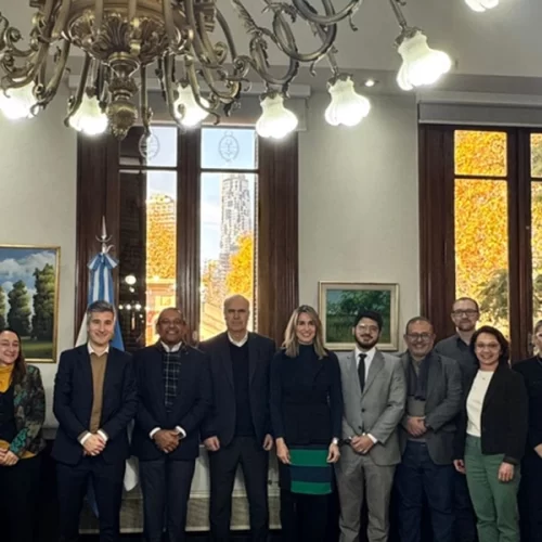 Brasil e Argentina avançam na cooperação da cadeia olivícola com jornada técnica binacional