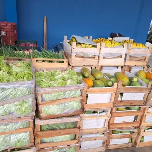 Governo de SP amplia distribuição de alimentos e avança em entregas aos municípios paulistas