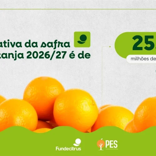 Safra de laranja 2026/27 do cinturão citrícola de SP e Triângulo Mineiro/Sudoeste de Minas Gerais é estimada em 255,20 milhões de caixas