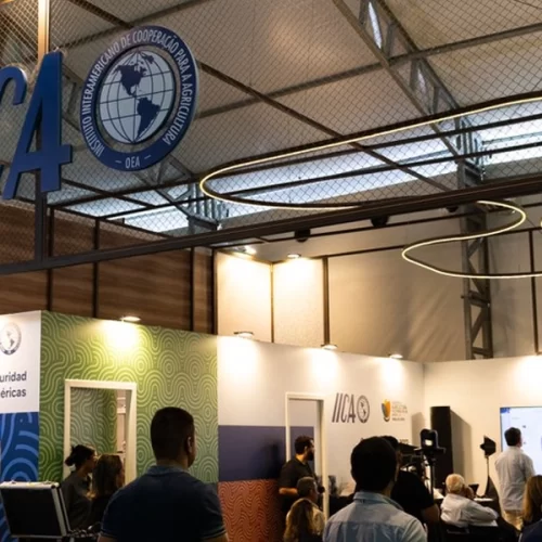 Mapa participa de evento oficial do Fundo Verde para o Clima durante a COP30