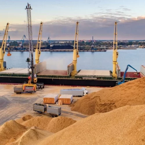 Açúcar de cana e carne bovina representaram quase 50% das exportações do agro paulista em outubro