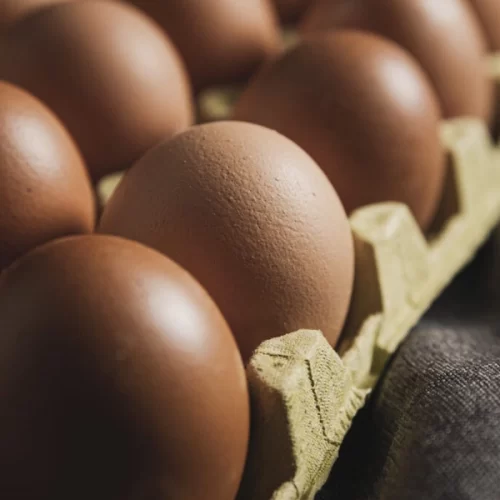 OVOS/CEPEA: Preços encerram 1ª quinzena estáveis