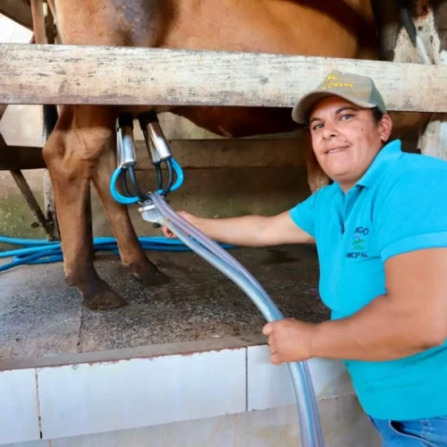 Dia Internacional da Mulher: Produtoras representam 43,2% dos acessos a crédito rural em SP
