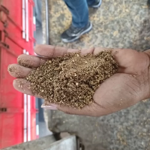 Ação conjunta resulta na apreensão de carga irregular de farelo de soja em Paranaguá