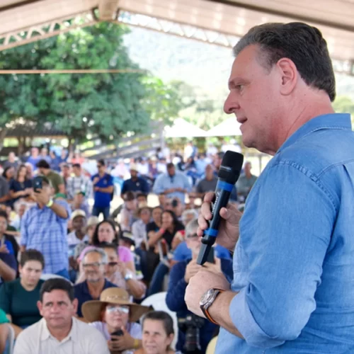 Rota da Banana estimula cadeia produtiva e sustentabilidade na produção da fruta