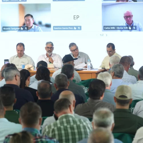 Federarroz anuncia ações judiciais contra fraudes na tipificação do arroz