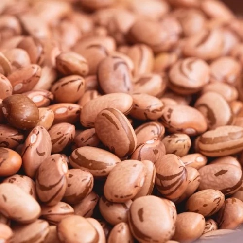 FEIJÃO/CEPEA: Carioca registra valorização recorde em fevereiro