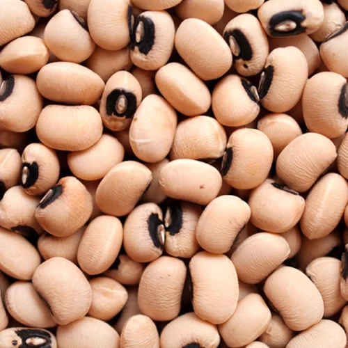 Abertura de mercado para o Brasil na Índia e na Rússia