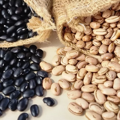 FEIJÃO/CEPEA: Margem ao produtor melhora neste começo de ano