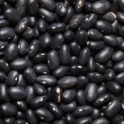 Aberturas de mercado para o Brasil nos Emirados Árabes Unidos e no Líbano