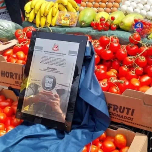 Feira Bom Preço do Agricultor: 10 anos ligando quem planta a quem consome