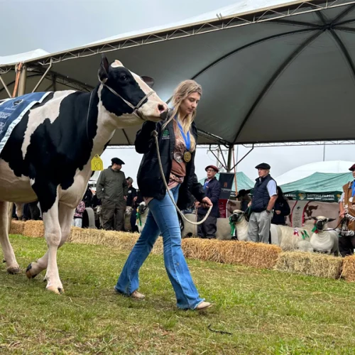 Fenasul Expoleite e Fenovinos encerram com 200 mil visitantes e desfile dos campeões