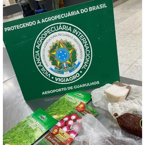 Mapa barra entrada de besouro em favo de mel trazido por passageiro da Bielorrússia em Guarulhos