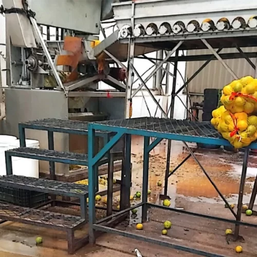 Fiscalização interdita fábricas de suco no interior de São Paulo