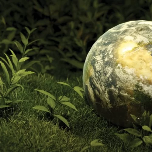 Sustentabilidade realiza foruns e palestras para produtores rurais