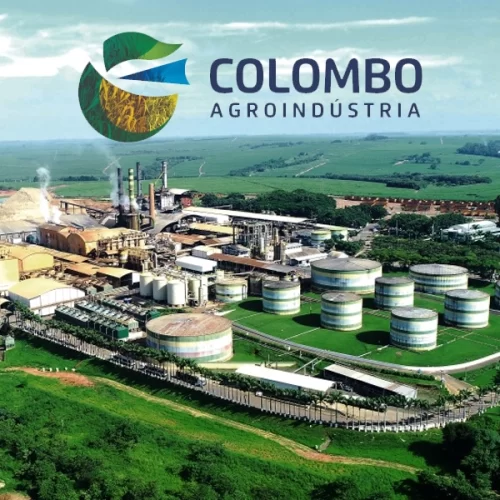 Grupo Colombo realiza investimento recorde na safra 2024/2025