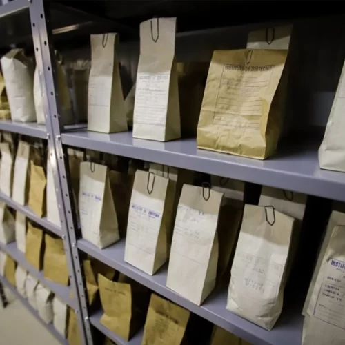 Guardando a diversidade da vida: como os bancos de germoplasma impulsionam a agricultura paulista