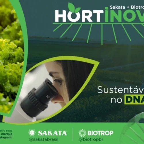 Novas genéticas de hortaliças e soluções biológicas são destaques da Hortinov, dia de campo da Sakata & Biotrop