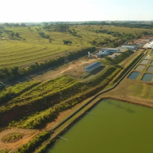 Aquicultura e recursos hídricos: Instituto de Pesca destaca importância da água para produção sustentável de alimentos