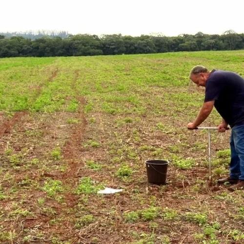 ‘Solo + Fértil’ aumenta a produtividade agrícola em municípios paulistas