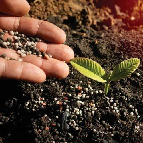 Redução global na oferta de fertilizantes e preços mais altos de combustíveis elevam custos de produção no campo