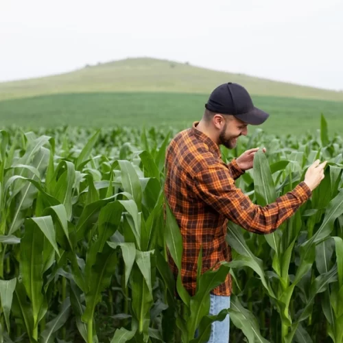 1° Encontro Regional do programa Agro Jovem acontece em Guararapes