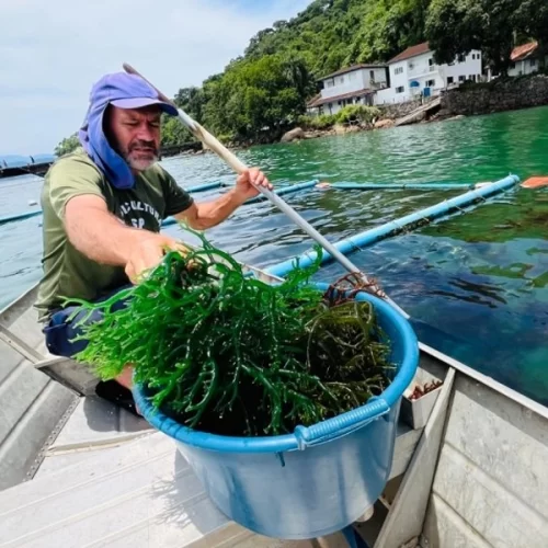 Instituto de Pesca lança campanha para preservação das áreas de maricultura em Ubatuba