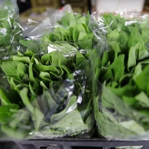 São Paulo regulamenta sistema estadual de inspeção de produtos de origem vegetal e fortalece a segurança alimentar