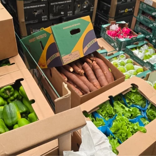 Pela primeira vez, Brasil exporta hortifrútis frescos em voo direto para a Ilha do Sal