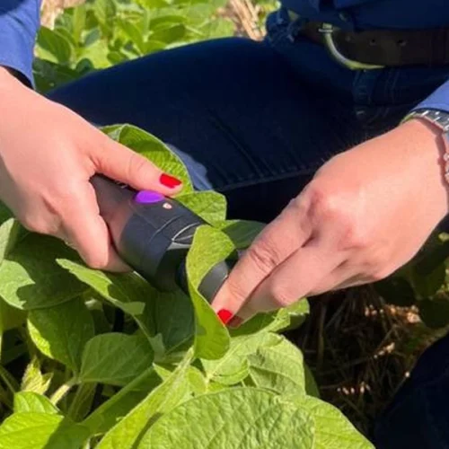ICL avança como empresa de dados e inovação no agro e consolida NutroScan com mais de 10 mil análises no Brasil