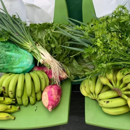 Ilhabela fortalece PAA e leva segurança alimentar a comunidades isoladas em mar aberto
