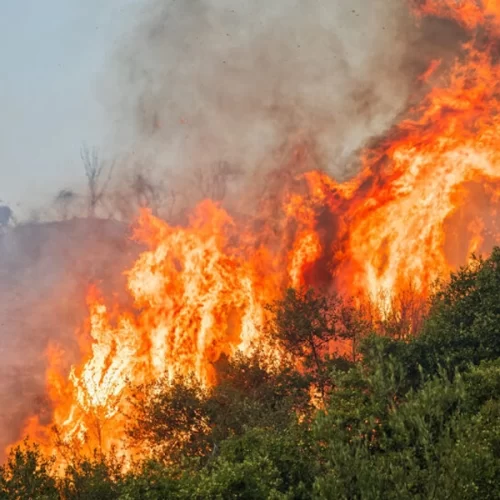 Faesp antecipa discussões sobre prevenção a incêndios no campo