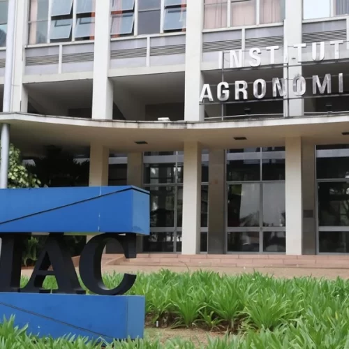 IAC tem dois reconhecimentos, sendo um da FAO