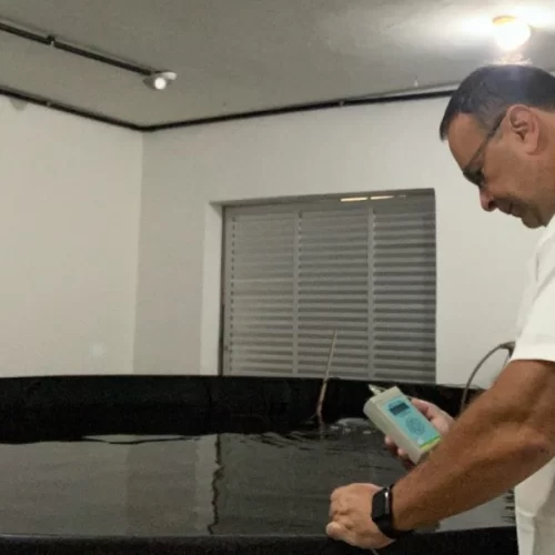 Instituto de Pesca avalia viabilidade econômica da pesca recreativa e propõe alternativas sustentáveis