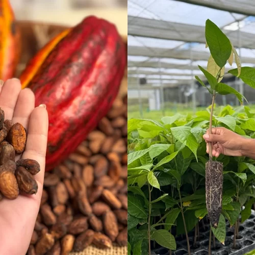 EXPO Rio Preto abre espaço para discussões técnicas com edição da 3ª InterTech Agro