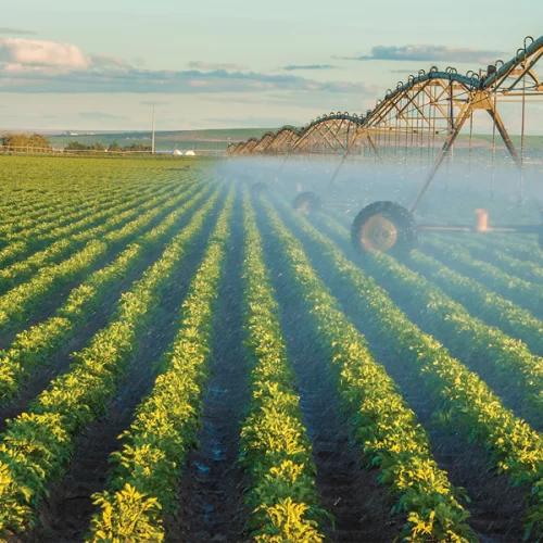 A quatro meses do fim, Plano Safra 2025/26 registra desembolso de 55,3% do montante programado para o crédito rural