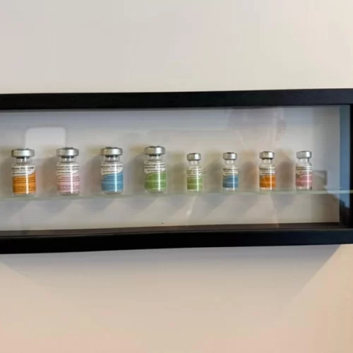 Laboratório do Instituto Biológico recebe visita do Ministério de Ciência, Tecnologia e Inovação (MCTI) em busca de referências