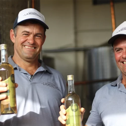 A pequena gigante das cachaças: Lamim, na Zona da Mata mineira, lidera ranking nacional de cachaçarias por habitante