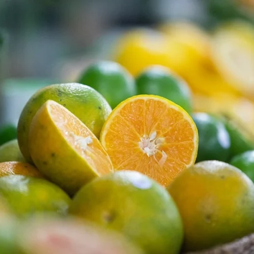 Centro de Citricultura impulsiona estratégia e inovação em meio à nova fase da citricultura brasileira