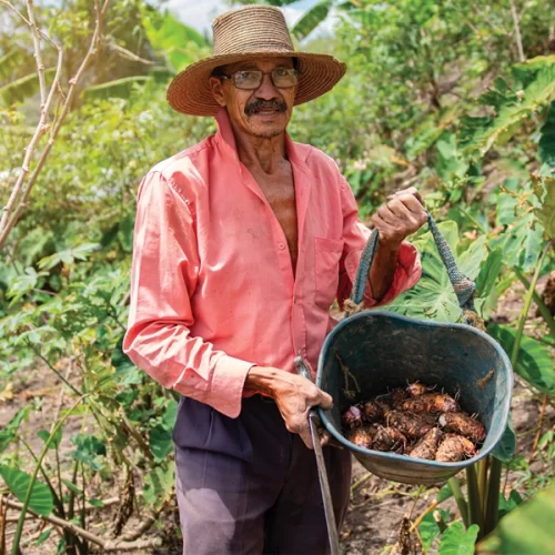 Estado de São Paulo tem alta anual de 3,1% no estoque de emprego formal