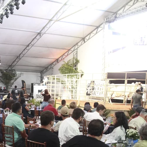 Leilões da 62ª Expo Rio Preto movimentam mais de R$ 5,5 milhões e reforçam força genética do agro