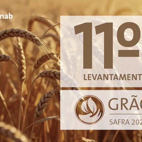 Safra de grãos 2024/25 é estimada em 345,2 milhões de toneladas com recorde na produção de milho e soja