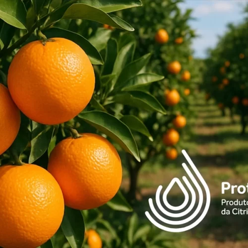 Lista ProteCitrus passa por atualização de produtos